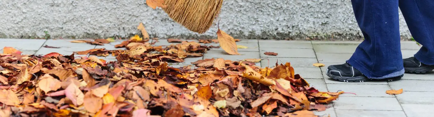 Gardens Cleaning